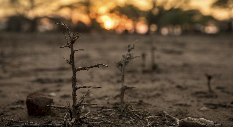 « La crise climatique alimente une crise alimentaire », alerte le PAM